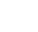 Felina BCN